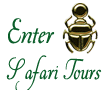 Enter To The Desert Safari Tour Programs